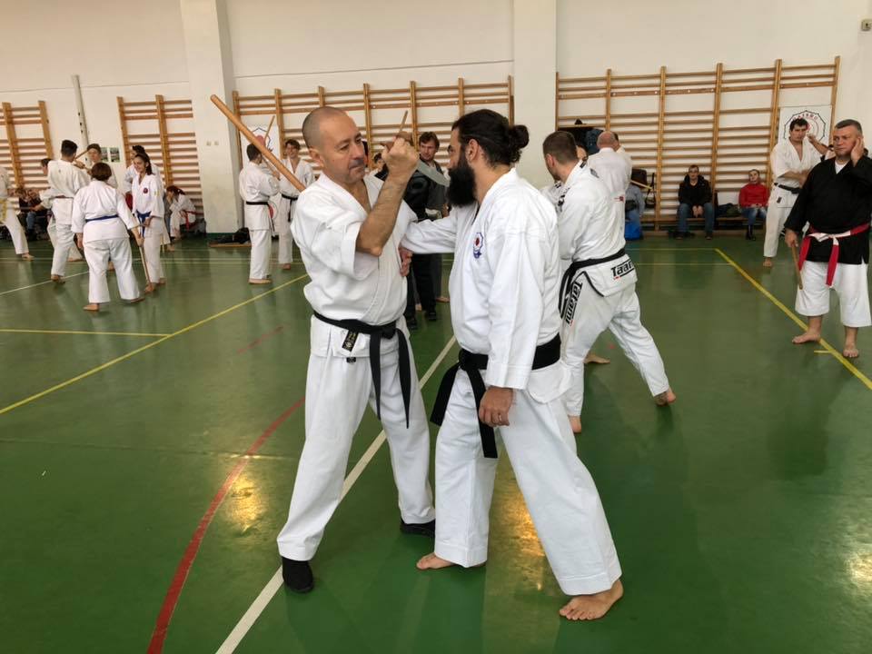 Hanshi Robert Manole s Alic Bogdan